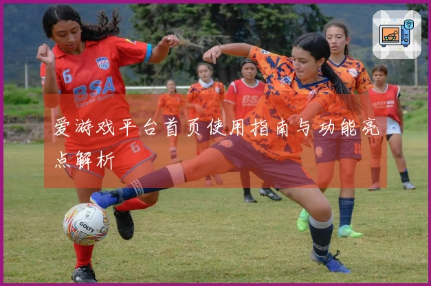 爱游戏平台首页使用指南与功能亮点解析