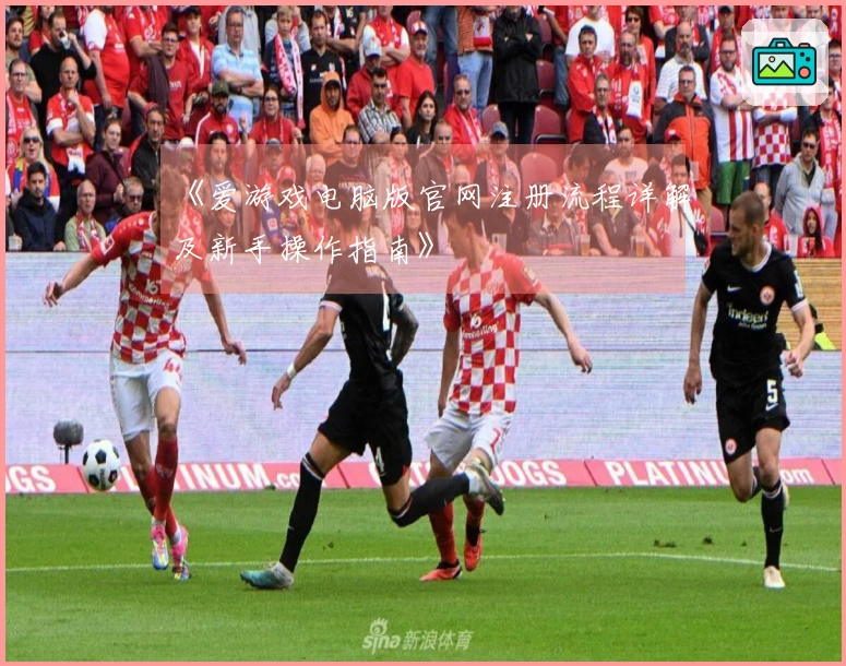 《爱游戏电脑版官网注册流程详解及新手操作指南》